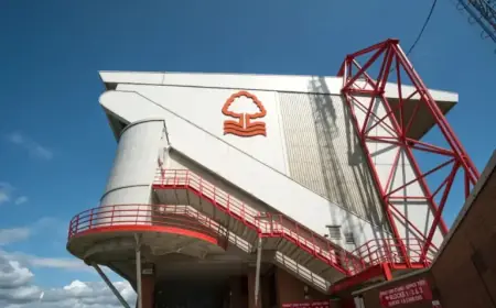 Nottingham Forest and Brighton Discuss Potential Transfer Deal