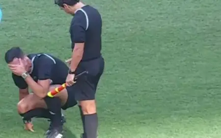 Palmeiras Game Referee Injured During World Cup Playoff