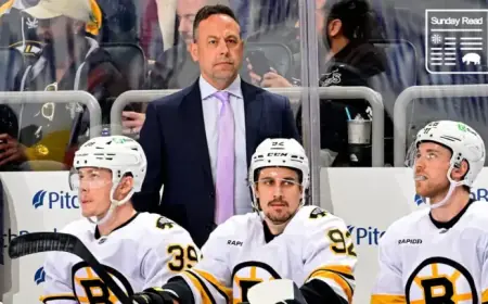 Exploring Sturm’s Impact: A Year Leading the Bruins’ Bench