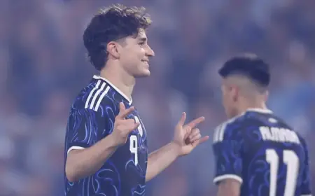 Julián Álvarez Shines with Goal, Inspires Hope for World Cup