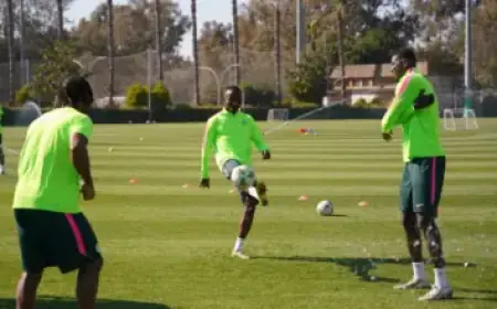 Megan Thee Stallion Hospitalized During ‘Moulin Rouge!’ Broadway Performance