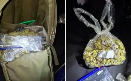 Police Arrest Two Men, Seize Cannabis in Major Drug Raid