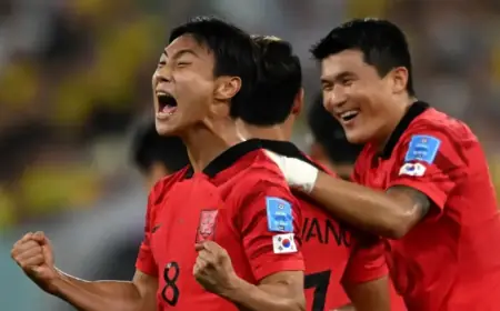 Guide to Buying 2026 South Korea World Cup Tickets: Dates, Prices & Details