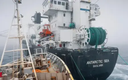 Paul Watson Foundation Halts Aker Qrill’s Operation