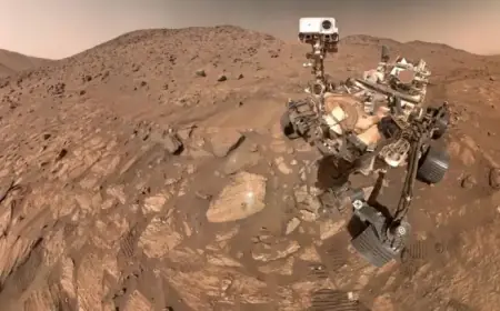 Mars Rocks’ Metal Discovery Suggests Possible Ancient Life