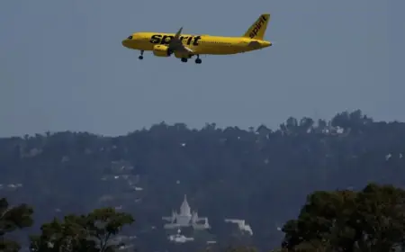 Spirit Airlines Passenger Faces Charges for In-flight Indecent Exposure