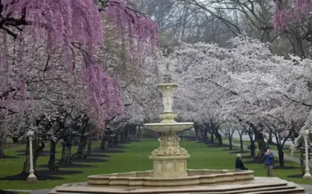 AccuWeather, Old Farmer’s Almanac Predicts Prolonged Warm Weather Trend