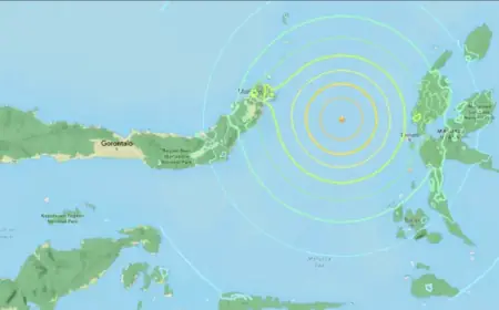 7.4 Magnitude Earthquake Strikes Indonesia’s Maluku Sea, Tsunami Warnings Issued