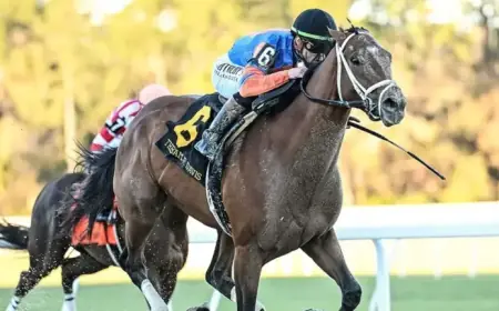 Top 5 Kentucky Derby Contenders Leading Up to 2026 Run for the Roses