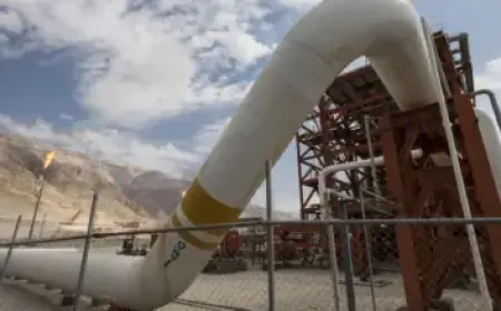 McAfee Reveals Masters Rejected Show Pitch Three Times