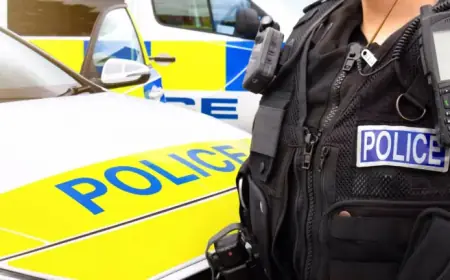 Tragic Collision with Truck Claims Lives of Girl and Man on Pony Trap