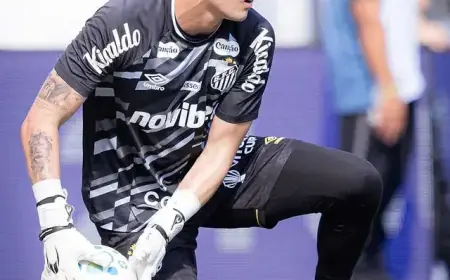 Brazão Highlights FIFA Date as Key for Team Understanding