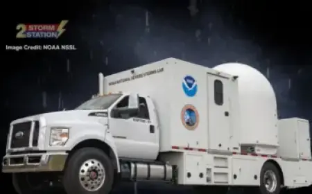 Royals’ Young Player’s Error Leads Team to Contact Parents