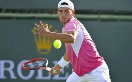 Bucharest Day 3 ATP Predictions: Baez vs Droguet Highlights