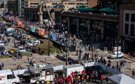 Tigers vs Cardinals Opening Day: Time, Channel, Weather, Parking, Food Details