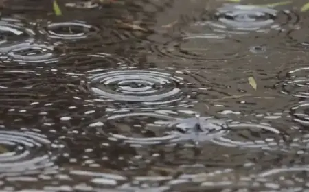 Today’s Weather: Intermittent Rain Predicted