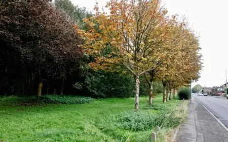 Stoke-on-Trent Semi to Transform into Children’s Home