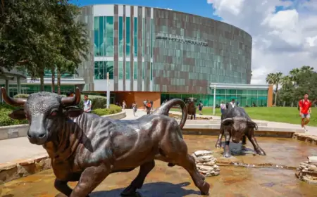 Bomb Threat Disrupts University of South Florida’s Tampa Campus