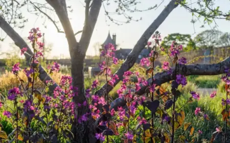 Easter Weekend Events Unveiled in Salford