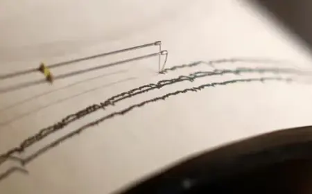 Delhi-NCR Earthquake Shakes Homes, Residents Capture Swaying Fans