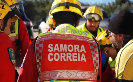 Emergency: Accident Halts Traffic on EN118 Between Porto Alto and Campo de Tiro