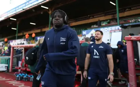 Harlequins Face Sale Sharks: Team News and Updates