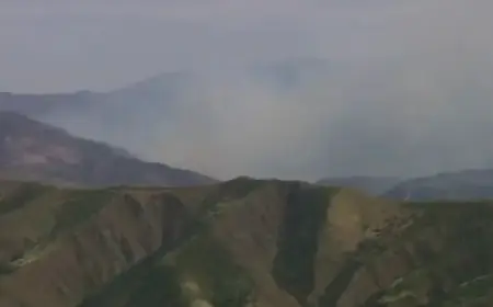 Fire Crews Combat Flames in Los Angeles, Riverside Counties