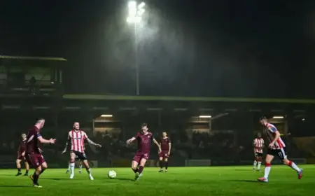 Opposition Perspectives Analyzed