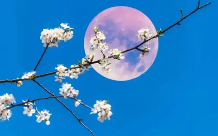 April’s Full Moon in Libra Brings Good Fortune to These 4 Zodiac Signs