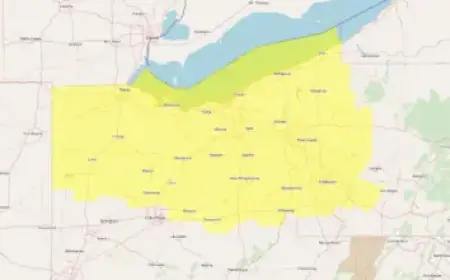 Ta’Niya Latson Transfers from Florida State to South Carolina Women’s Basketball