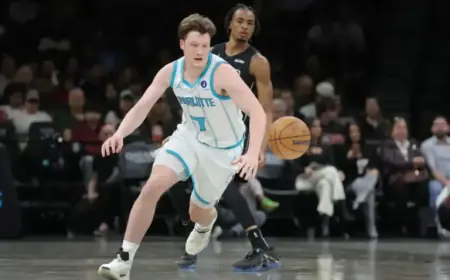 Hornets vs Pacers: Expert Preview and Prediction