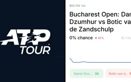 Zandschulp vs. Dzumhur: Odds and Predictions for April 3, 2026