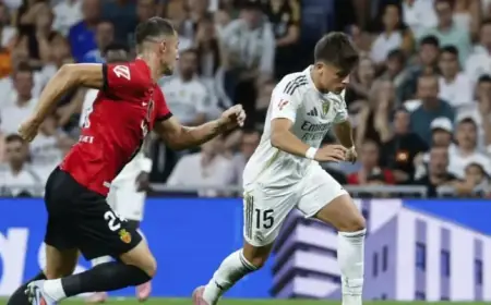 Mallorca vs Real Madrid Match Predictions: Racing Toward the Top