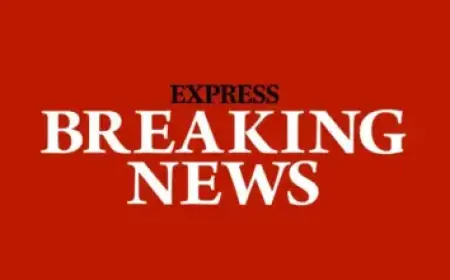 Watch Freiburg vs. Bayern Munich Live: Time and Channel for Bundesliga Match