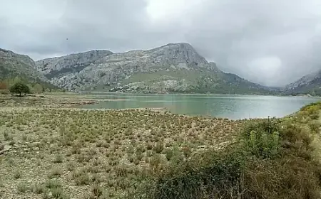 Snowfall Boosts Reservoir Water Levels