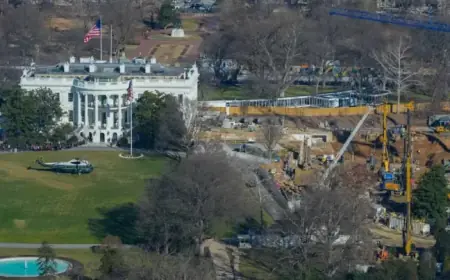 Did President Trump Contribute to Latest White House East Wing Court Filing?