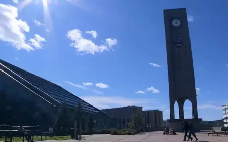 NAPE Warns: MUN Reduces Social Worker Seats Amid Rising N.L. Demand