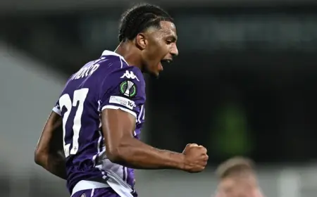 Hellas Verona vs Fiorentina: Match Preview, Predictions, Lineups, and Team News