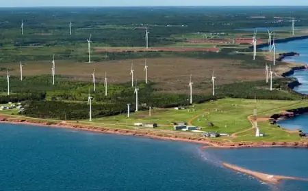 P.E.I.’s Oldest Wind Farm Undergoes Major Turbine Overhaul