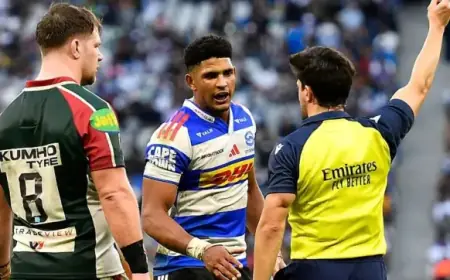 Feinberg-Mngomezulu Benched as Springbok Returns to Stormers Lineup