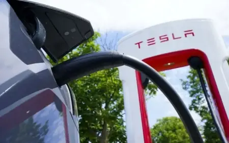 B.C. Targets 75% Zero-Emission Vehicle Sales by 2035: Can They Achieve It?