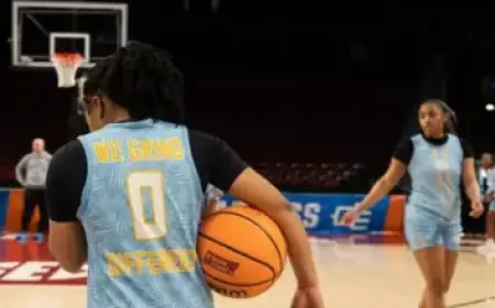 Dakota Johnson Shines on Date Night at Paul McCartney Concert