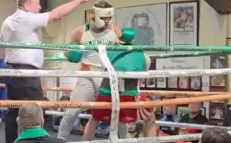 Conor McGregor Earns Dual Standing 8 Counts in Surprise Boxing Exhibition Video