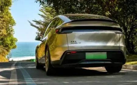 Inside ‘Pig Butchering’: Scams Costing Australians $2 Billion