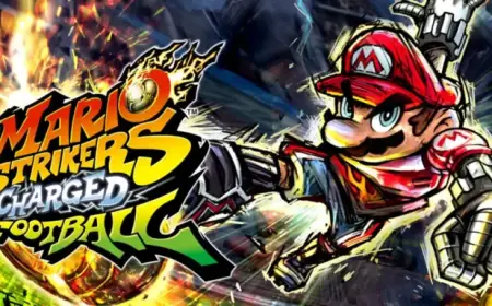 Next Level Games Sought Link for Mario Strikers Charged