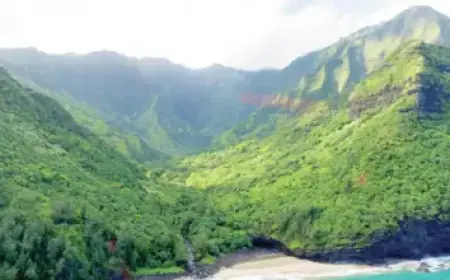 Liga MX’s Jornada 13 Kicks Off Final Race for Aguirre’s World Cup Squad