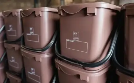 Bournemouth and Poole Launch Food Waste Collection Next Week