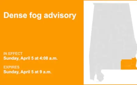 Dense Fog Advisory Issued for Southeast Alabama: Visibility Down to Quarter Mile