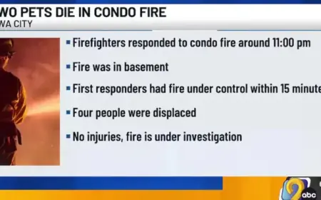 Fire Claims Two Pets in Iowa City on Friday Night