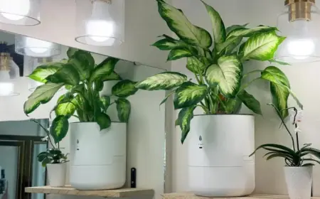 Smart Planter Thrives Autonomously for 2 Months: My Experience